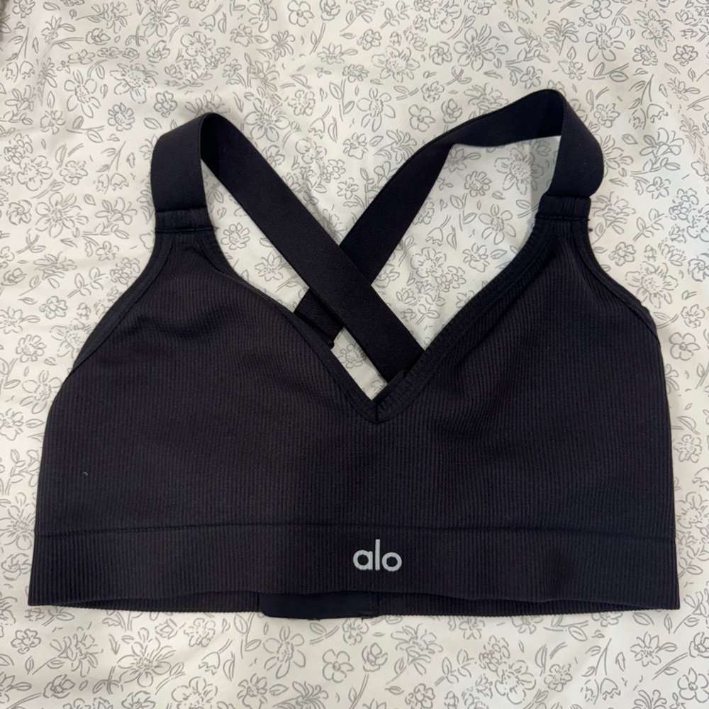 Seamless Ribbed Alo Bra
